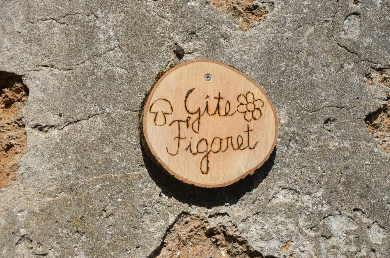 Gite Figaret Saint-Julien-de-la-Nef Zewnętrze zdjęcie